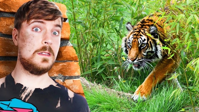 MrBeast's Next $1,000,000 Video!